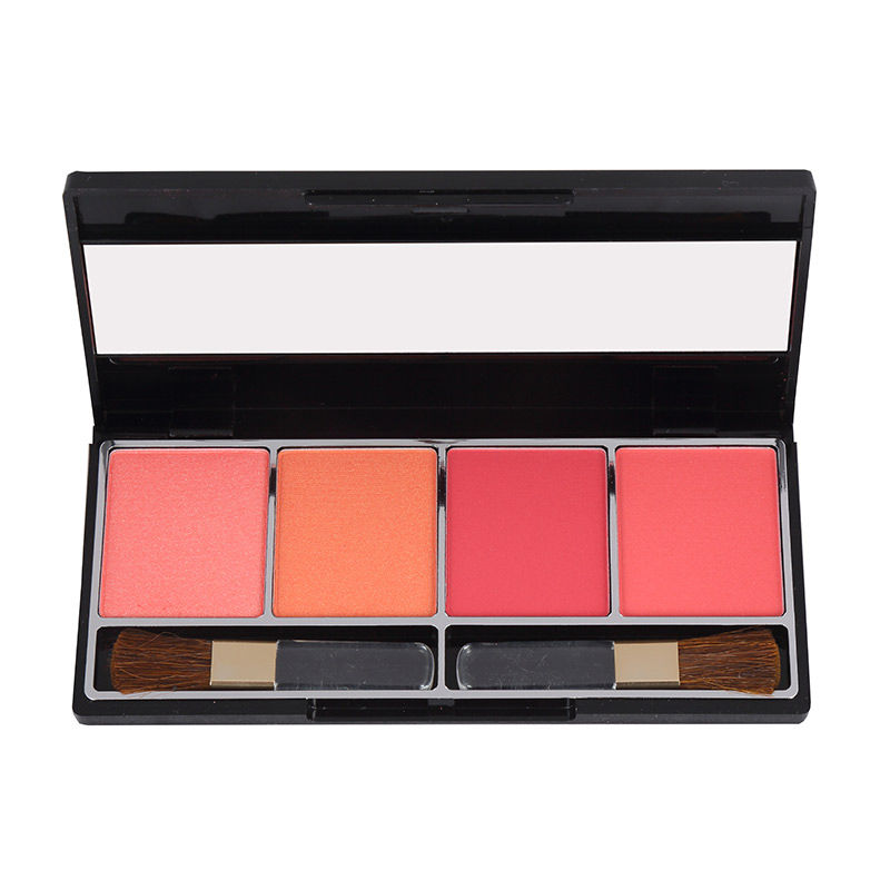 blusher kit price