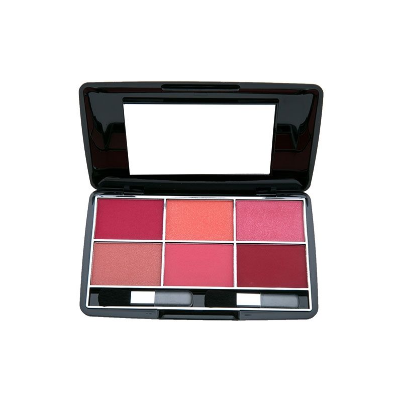 blusher kit