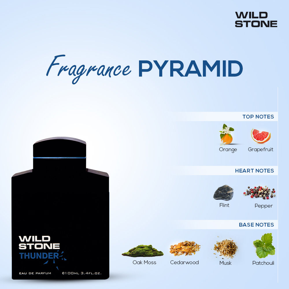 wild stone thunder perfume