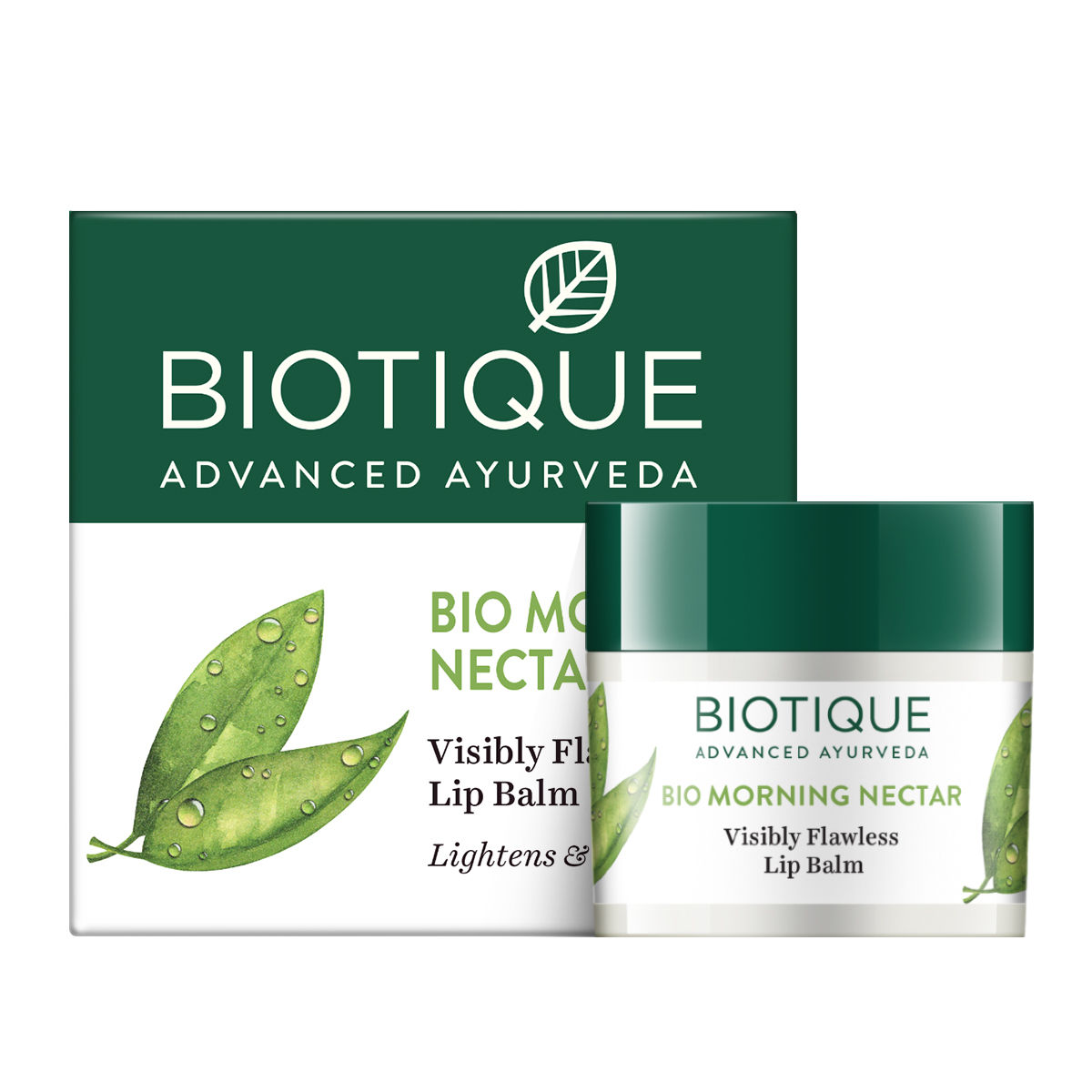 price of biotique morning nectar