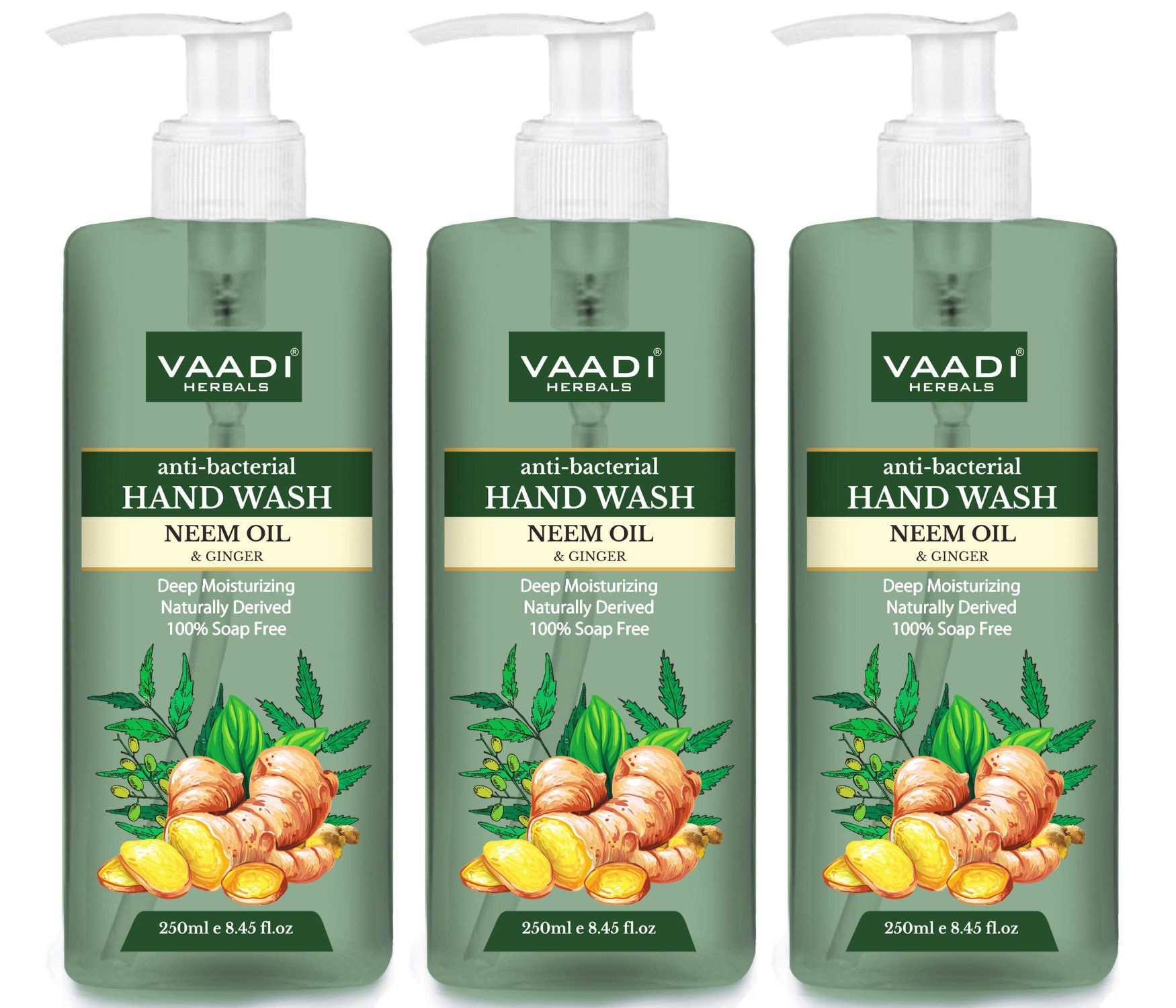 Vaadi Herbals Anti - Bacterial Neem Oil & Ginger Hand Wash - Pack of 3
