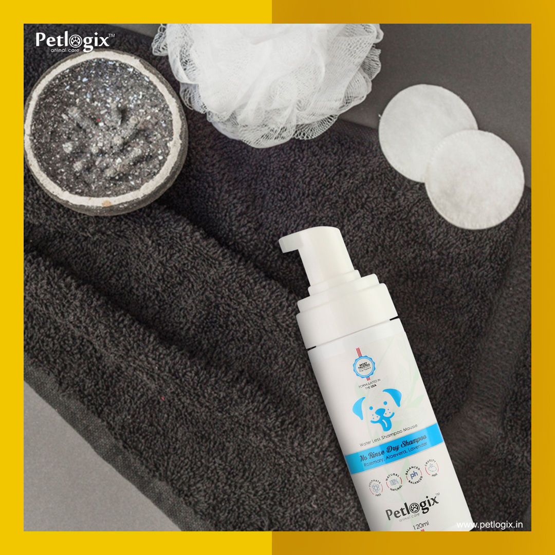 petlogix shampoo