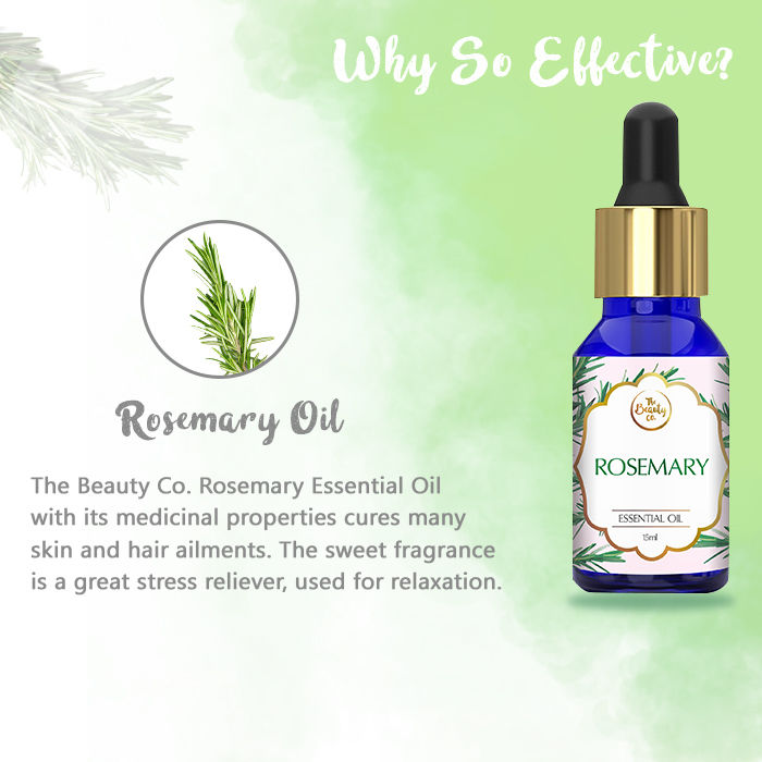 The Beauty Co. Rosemary Essential Oil: Buy The Beauty Co. Rosemary ...