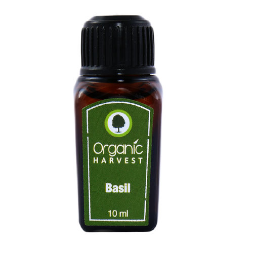 Organic Harvest Basil Essential Oil