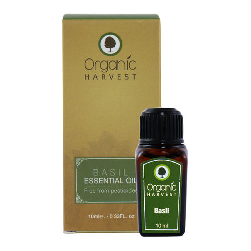 Organic Harvest Basil Essential Oil