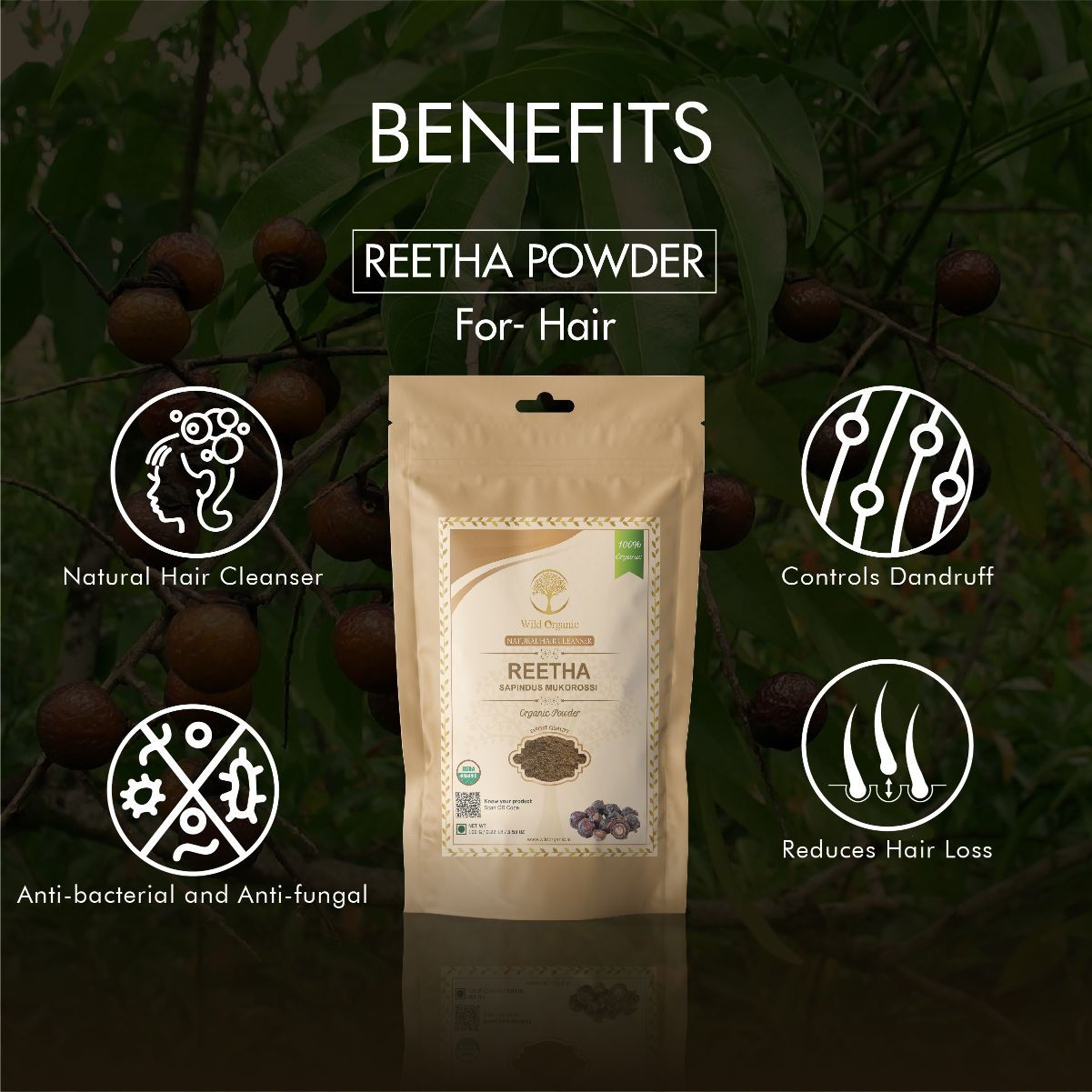 Reetha Hair Powder 