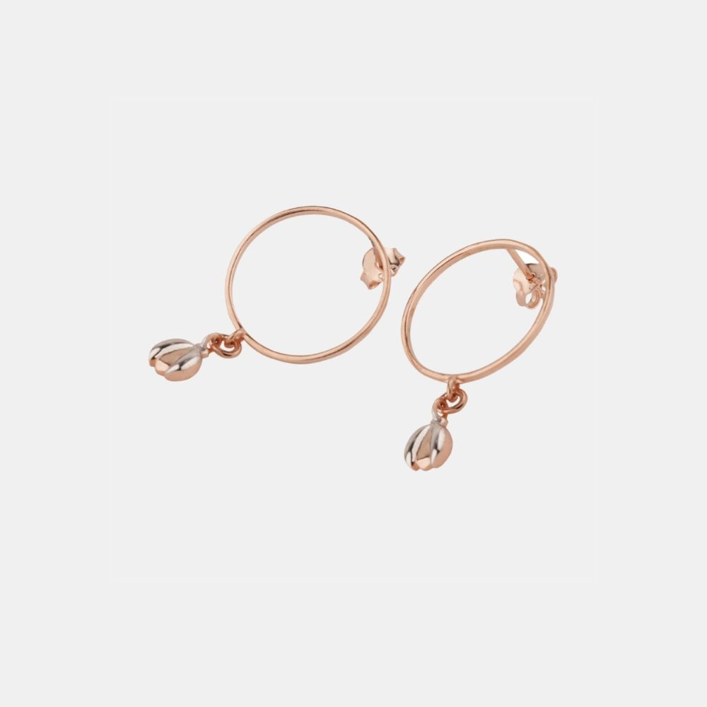 Chumbak Flying Together Earrings Buy Chumbak Flying Together Earrings