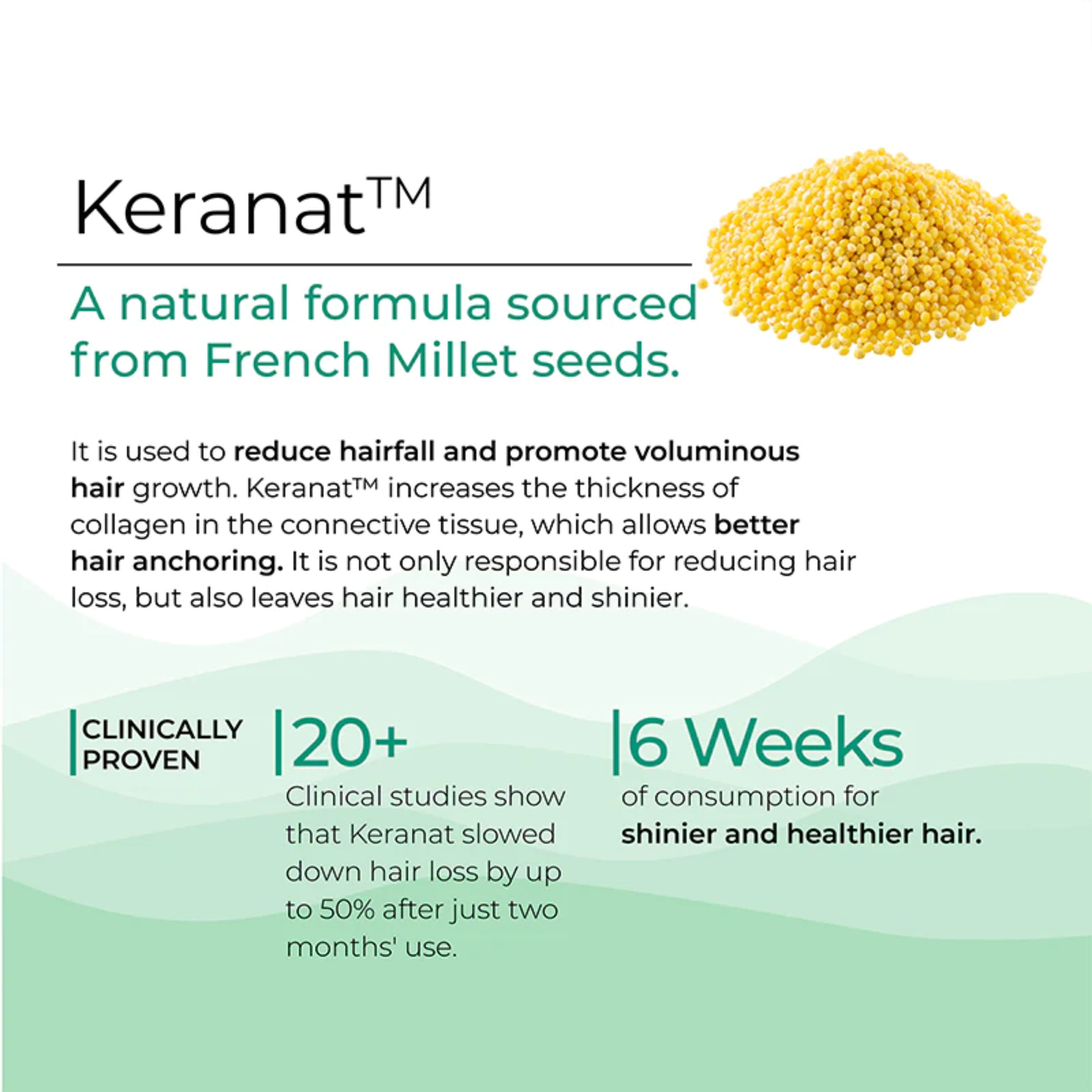 Wellbeing Nutrition Melts Hair Fall Control With Clinically Proven ...