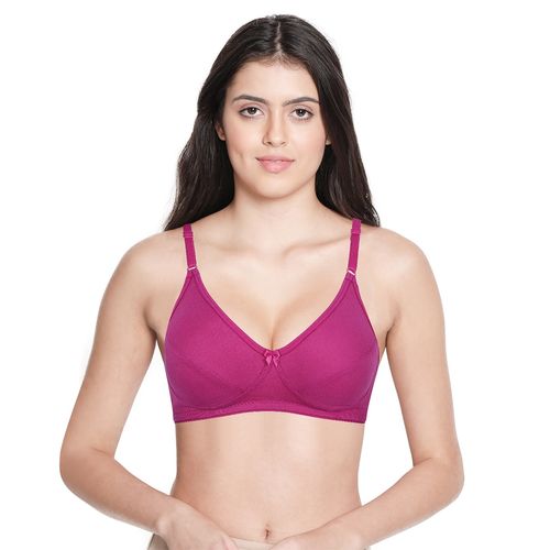 Buy Shyaway Shyle Womens Magenta Seamed Non Padded Wirefree Bra Online