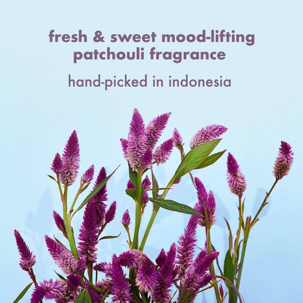 product image6