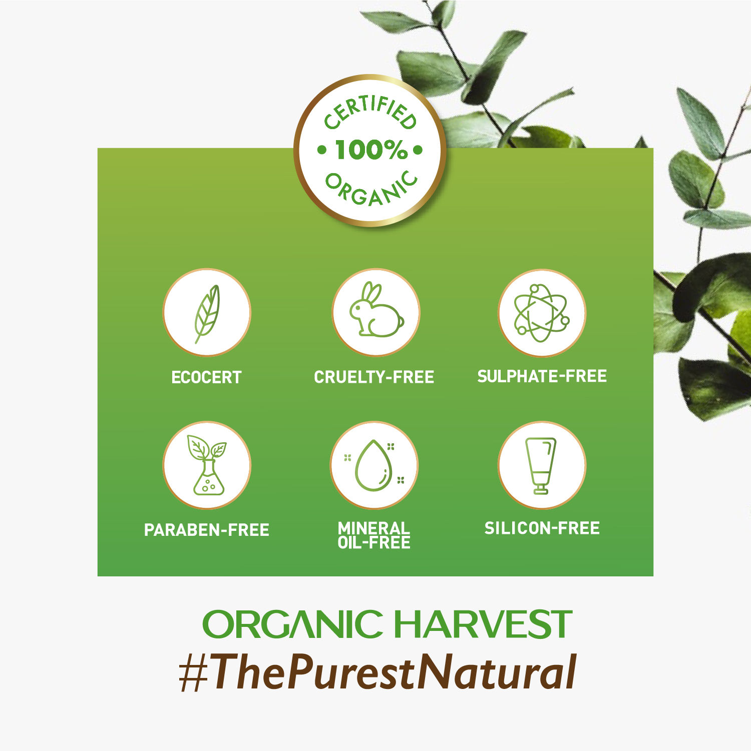 Buy Organic Harvest Anti Pigmentation Cream Online