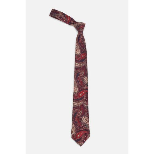 Buy Allen Solly Mens Multi Embroidered Casual Tie Online
