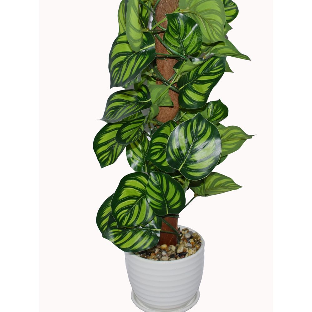 Fourwalls Artificial Money Plant with Ceramic Vase Buy Fourwalls