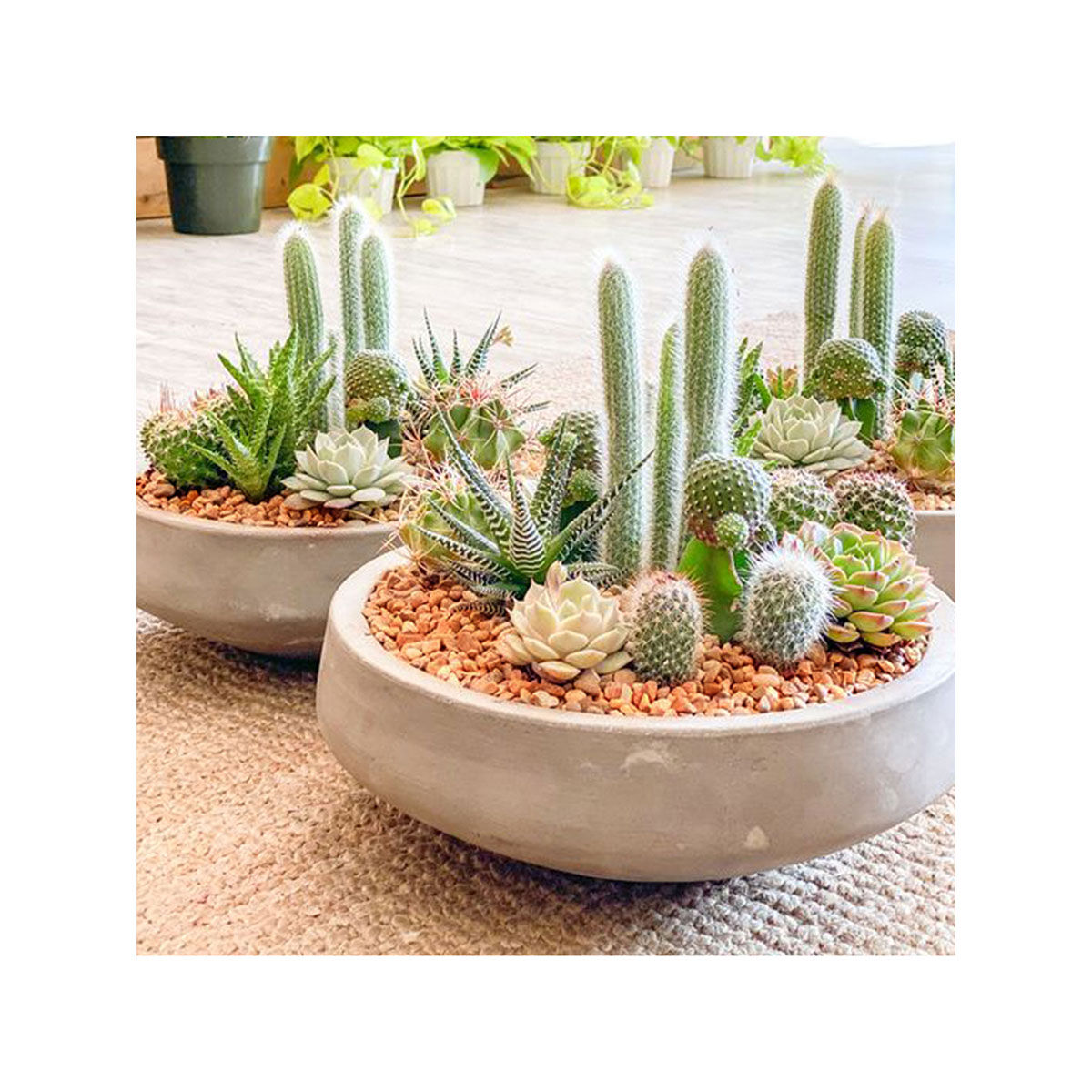 Itsy Bitsy Unpolished Stone Chips Rust 3kg Buy Itsy Bitsy Unpolished