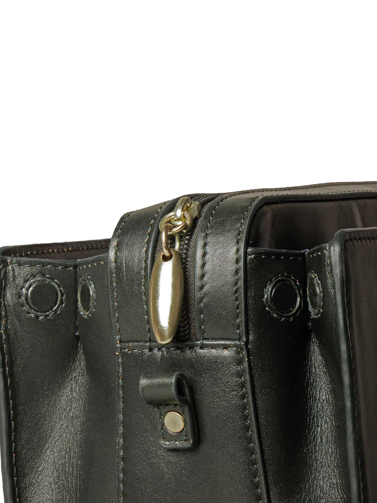 Buy Hidesign Alps 02 Genuine Leather Women Olive Handbag (M) Online