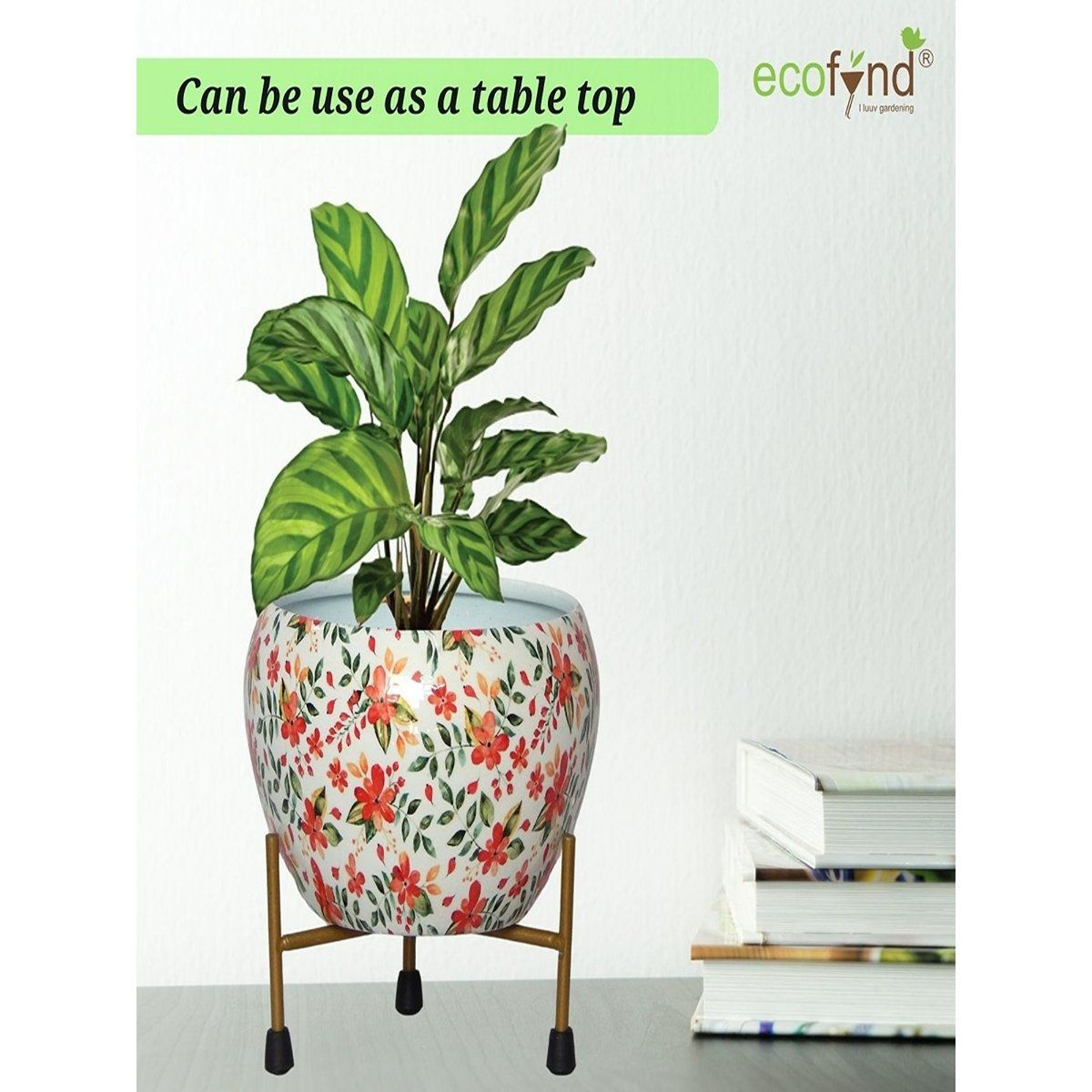product image4