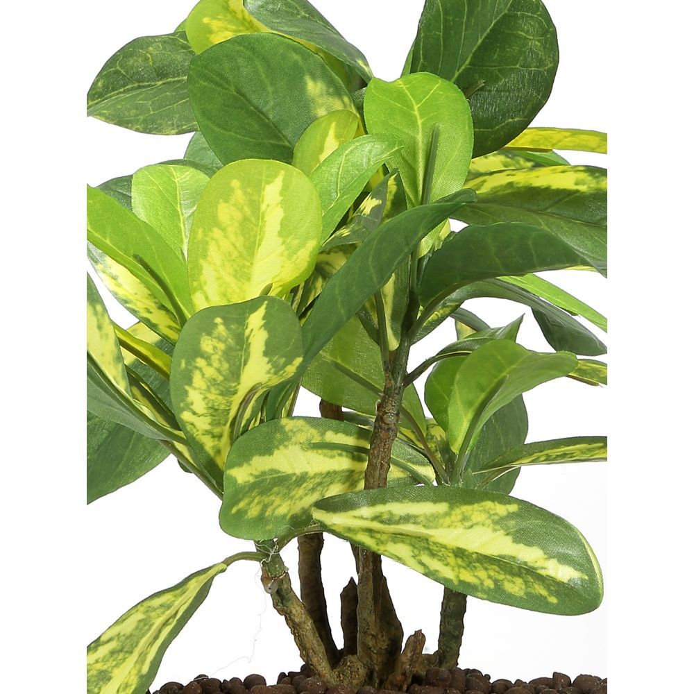 Artificial Umbrella Schefflera Money Tree - 6Ft Tall Fake Plants With Realistic Leaves, Faux Silk Indoor And Outdoor Decor For Home, Living Room, Bedroom, Office, Patio