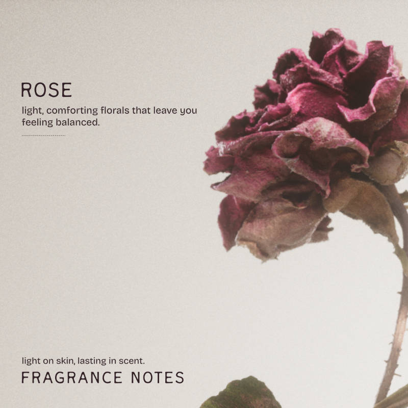 THE BARE BAR Absolute Rose Natural Deodorant Stick - view 3