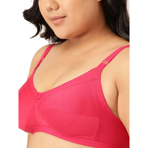 Buy Leading Lady Woman Everyday Cotton Non Padded Magenta Full Coverage Bra  Online