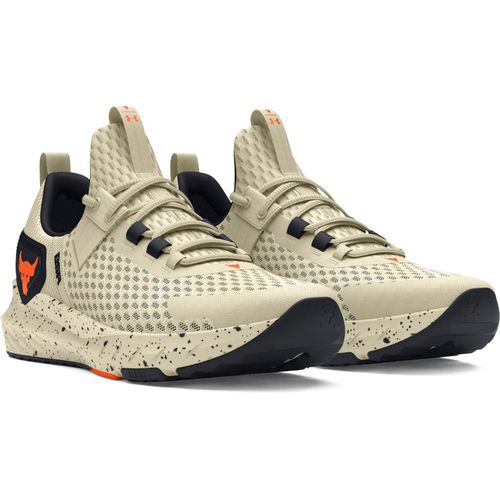 Under Armour UA Project Rock BSR Brown Training Shoes (US