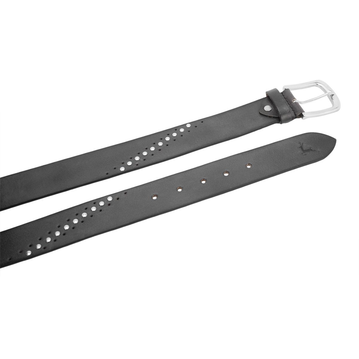 Parx Black Belts Buy Parx Black Belts Online at Best Price in India