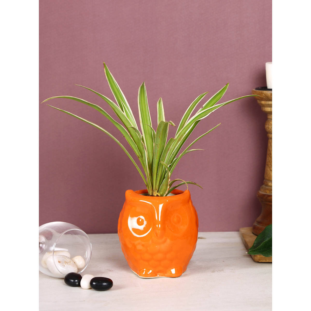Tayhaa Orange Owl Shaped Planter