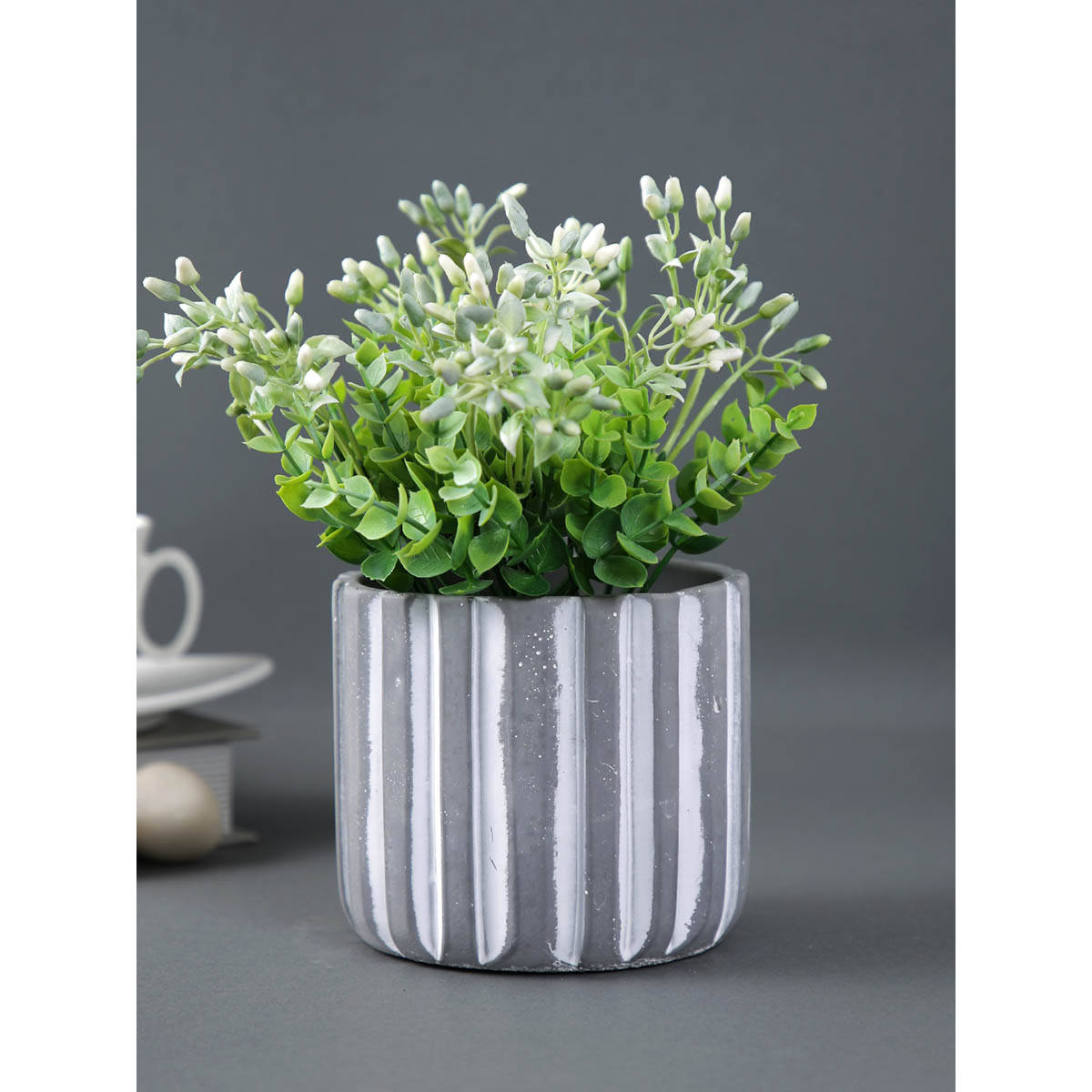 Tayhaa Striped Ceramic Planter