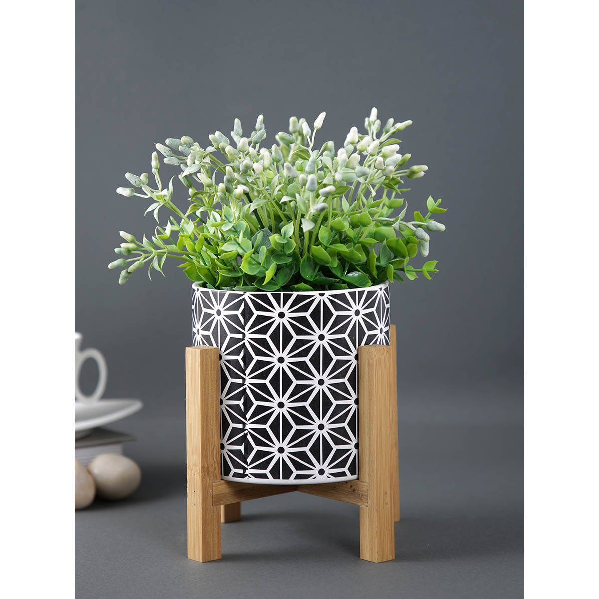 Tayhaa Ceramic Matte Planter with Wooden Stand