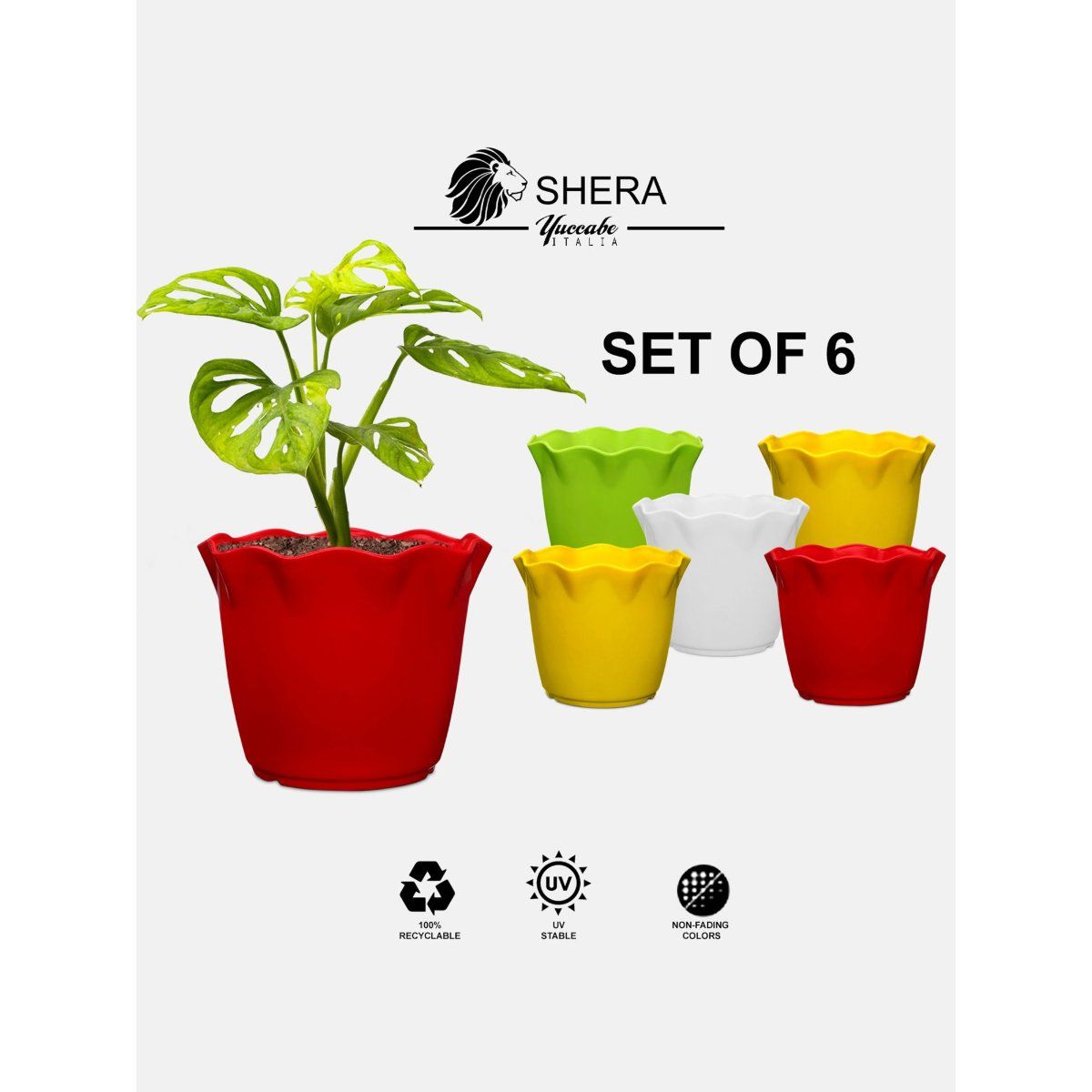 Buy Yuccabe Italia 6Inch Plastic Planter Elegant & Unbreakable, Ideal