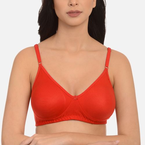 Buy Mod & Shy Pack Of 2 Lace Non-wired Non Padded Minimizer Bra