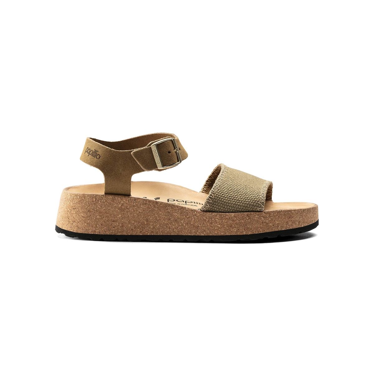 Papillio 37 2025