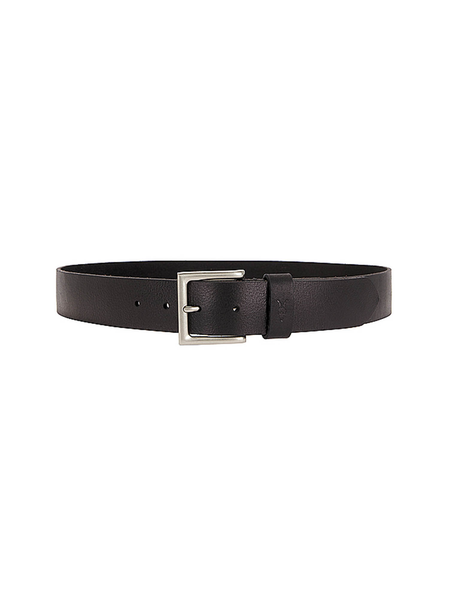 Buy ALLSAINTS 38mm Belt Online