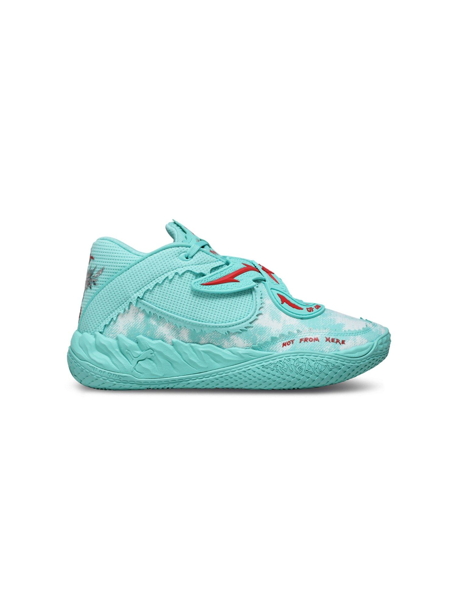 product image2
