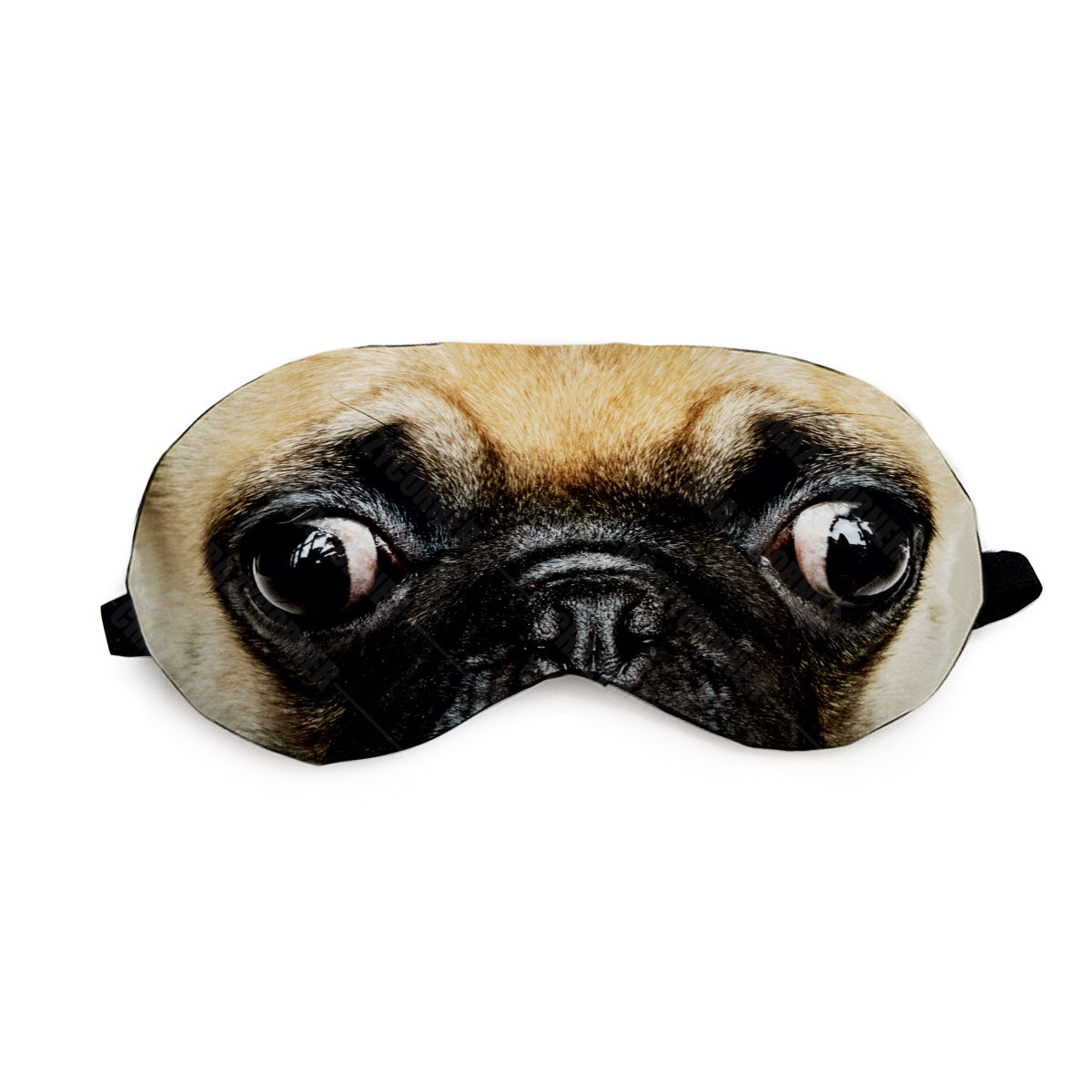 pug with eye patch