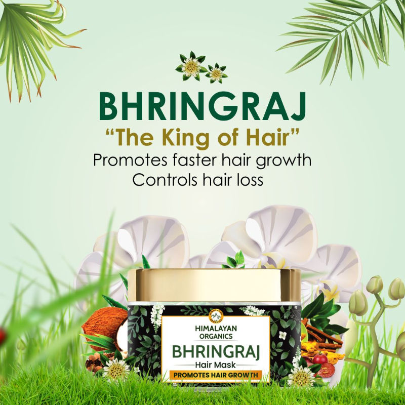 Bhringraj Powder for ConsumptionDrinkingEatingEdible Good for Hair pack  Hair Oil Herbal Hair Growth for Men and Women Hair Wash Hair Gives  Thicker  Stronger Pure False Daisy100GM  Amazonin Beauty