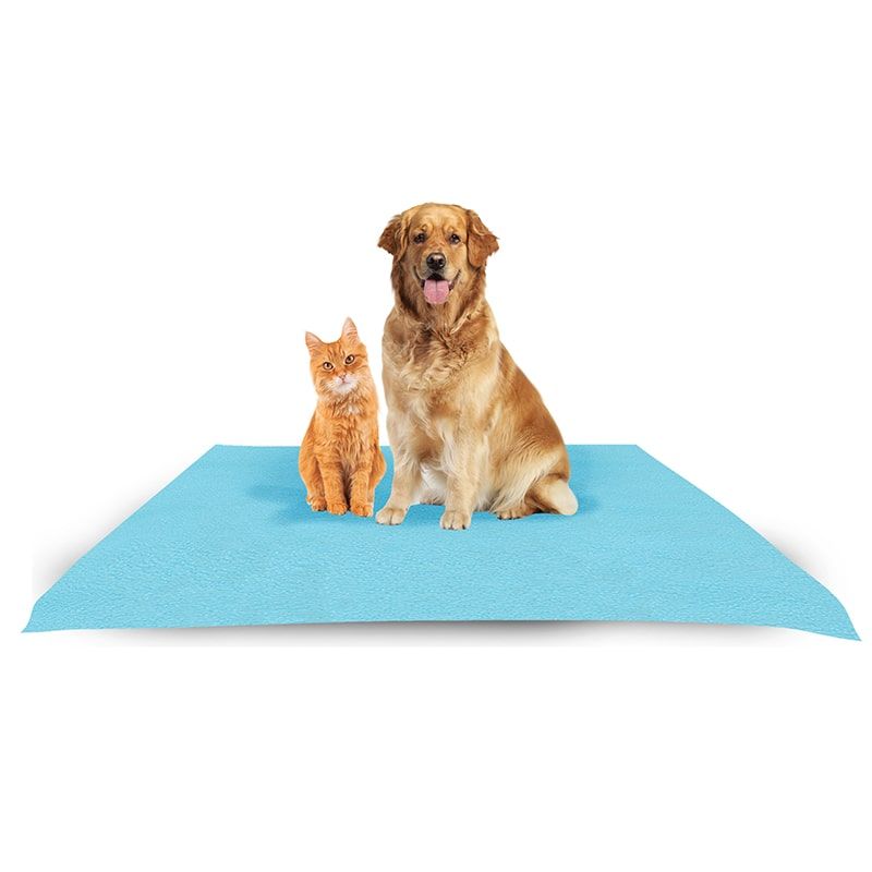 Amorite Waterproof Reusable Washable Pet Training Pads For Dog And Puppy - Sea Blue (70cm X 100cm)