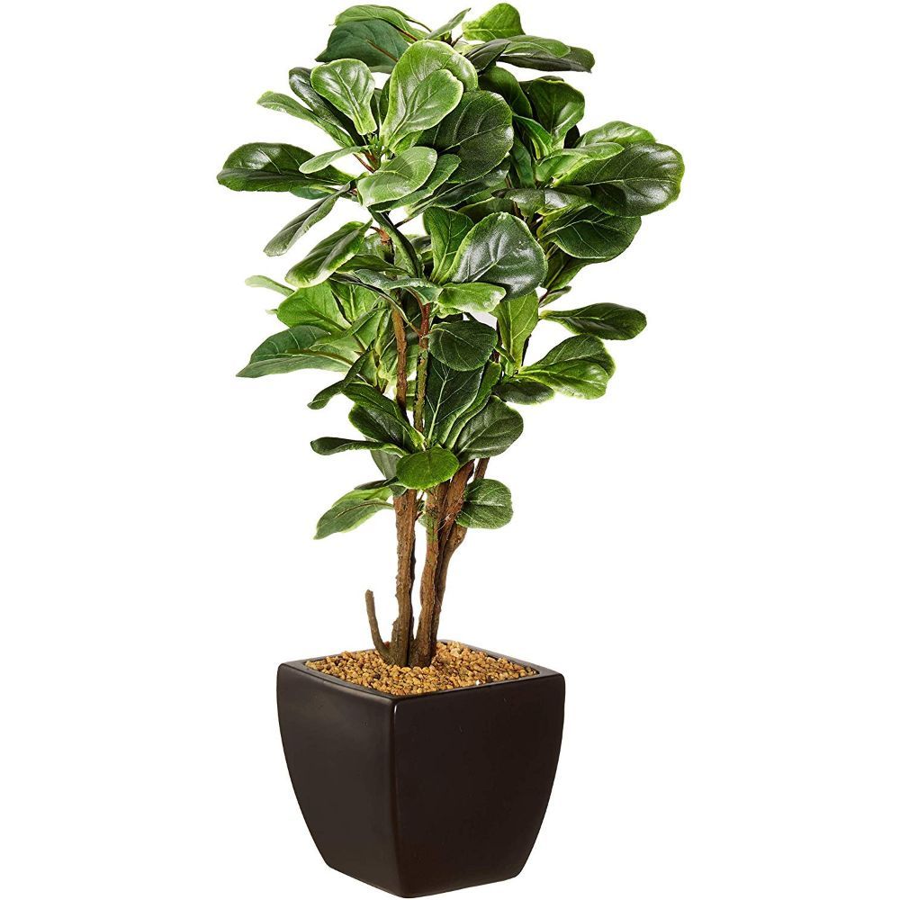 Fourwalls Artificial Fiddle Leaf Plant in a Ceramic Pot Buy Fourwalls