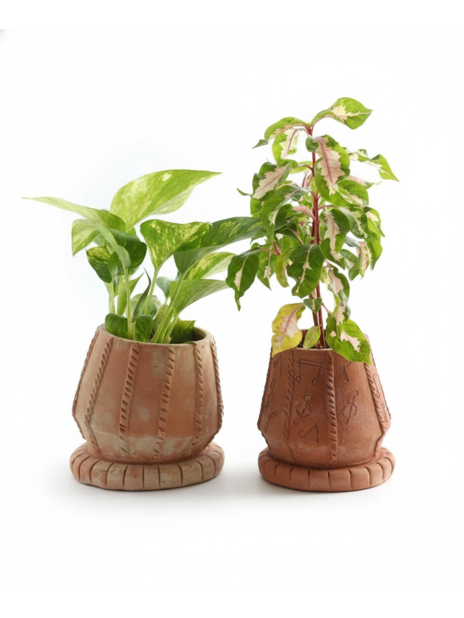 product image3