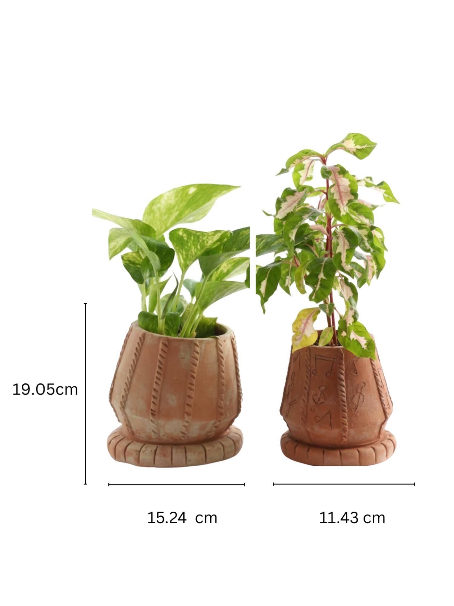 product image4