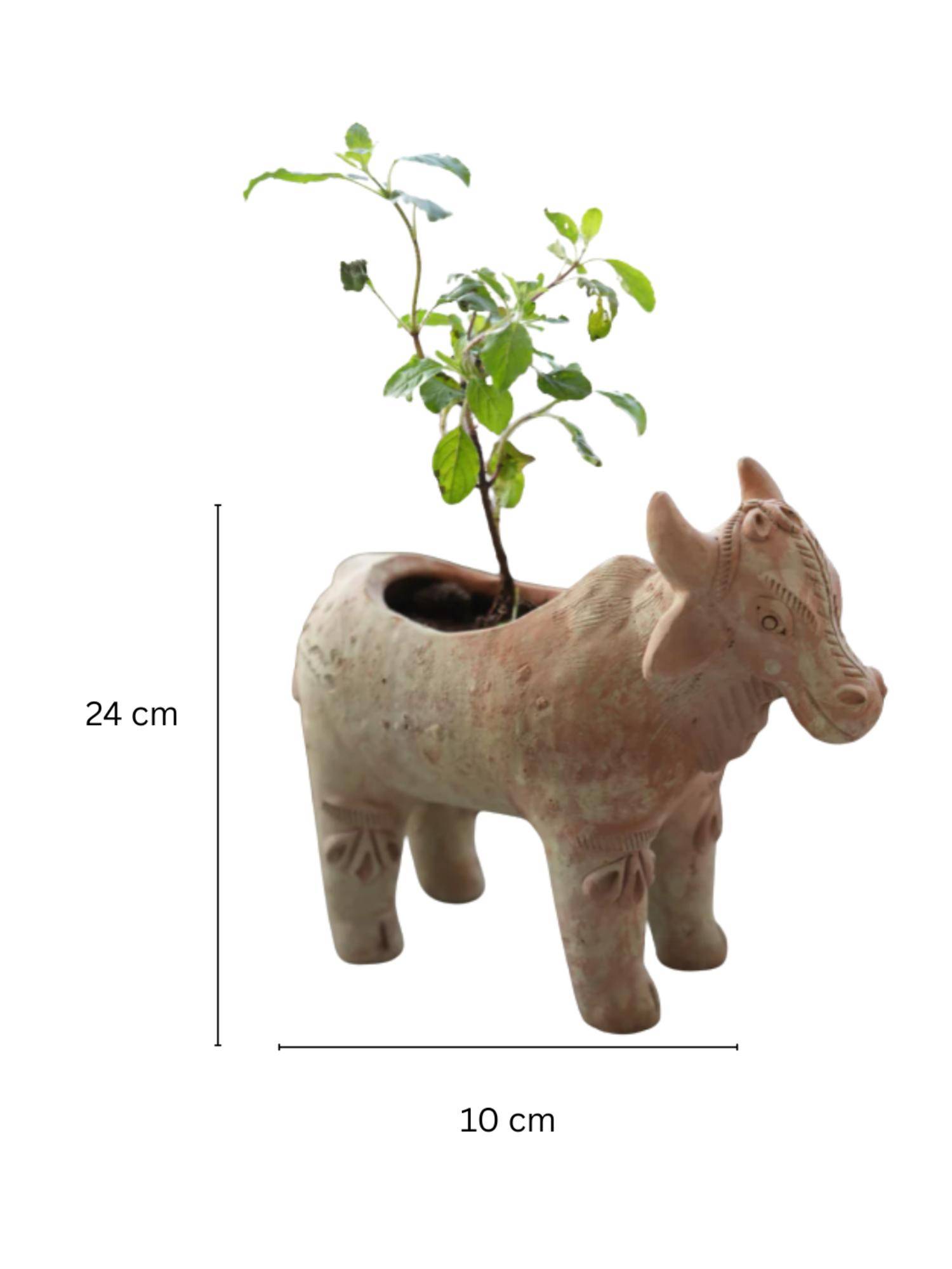 product image5