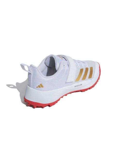 Buy adidas Men White SCORERUN 2.0 Cricket Shoes Online