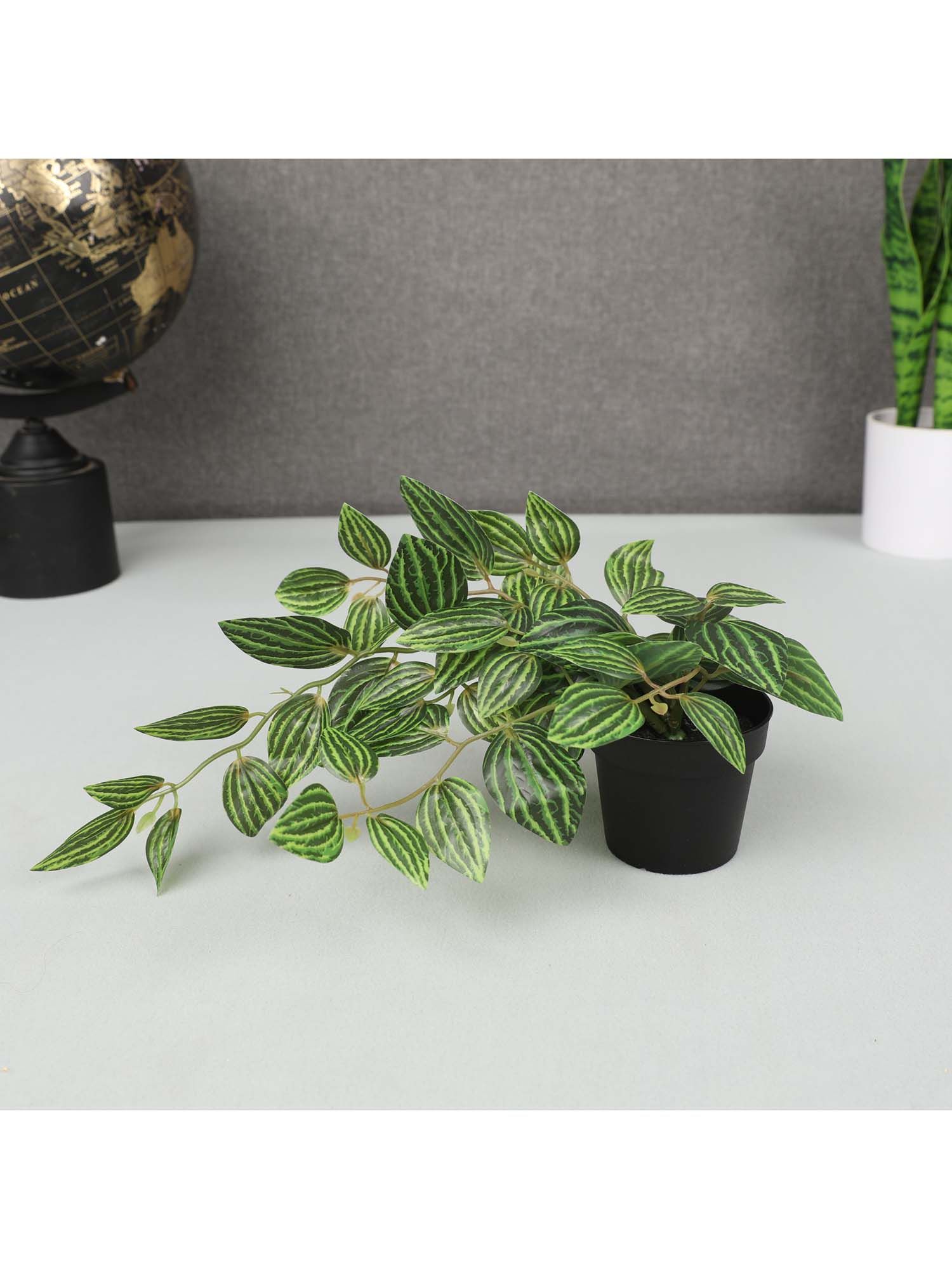 product image2