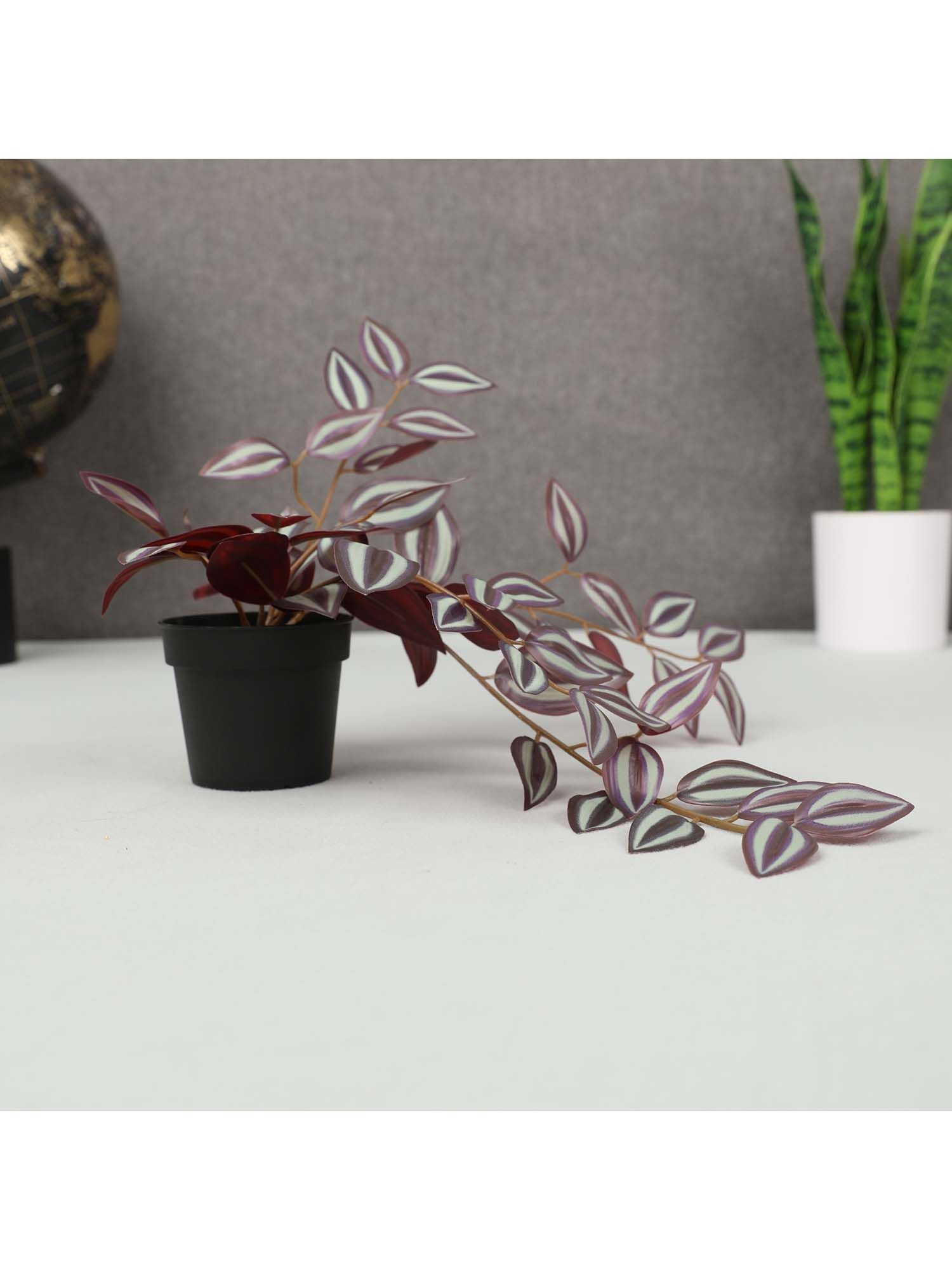 product image3
