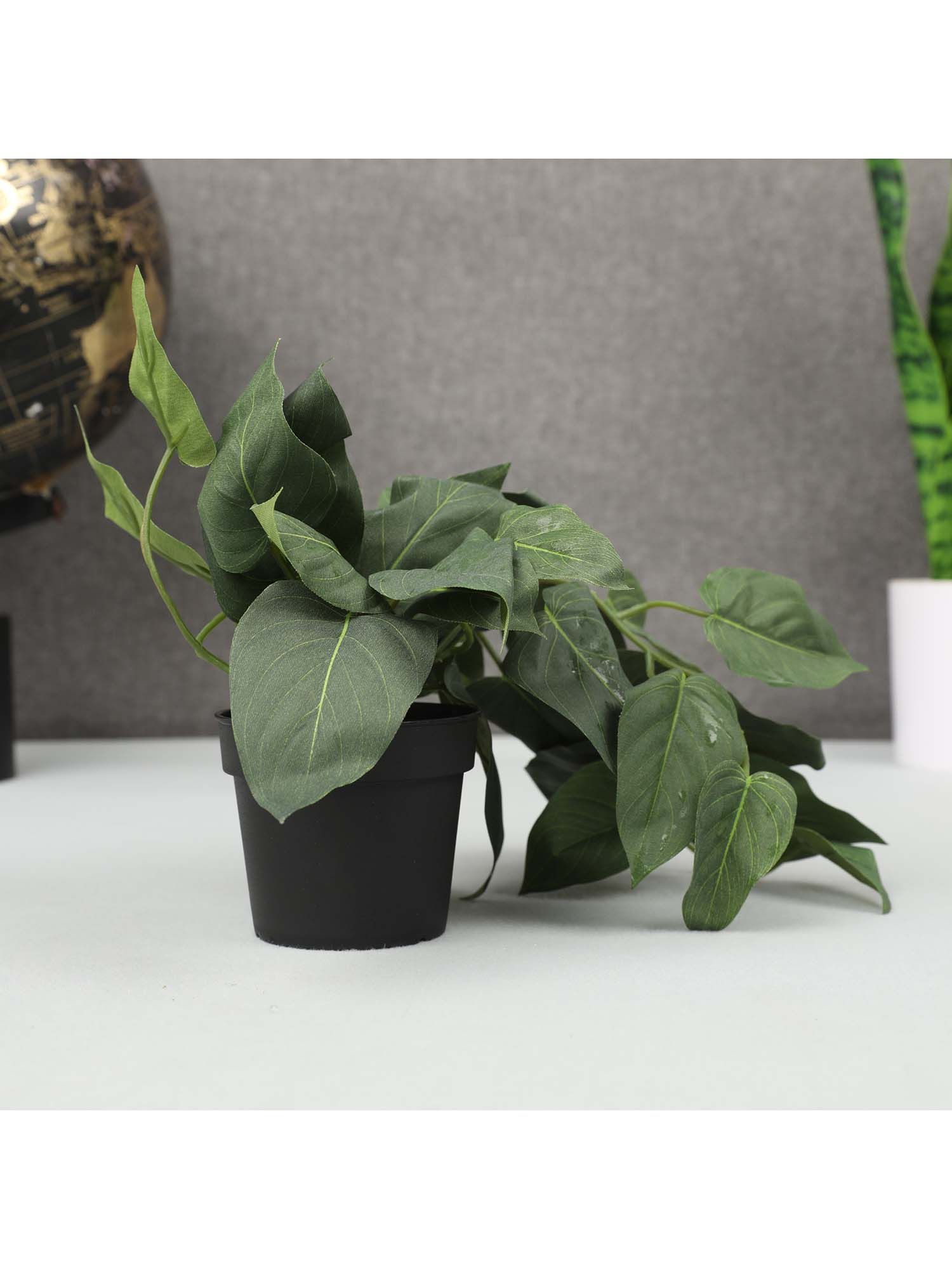 product image3