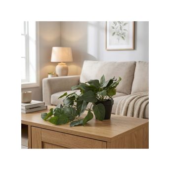 product-image-lens