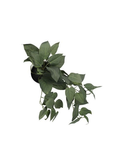 Buy HomeTown Ilana Hanging Green Artificial Philodendron Plant Online