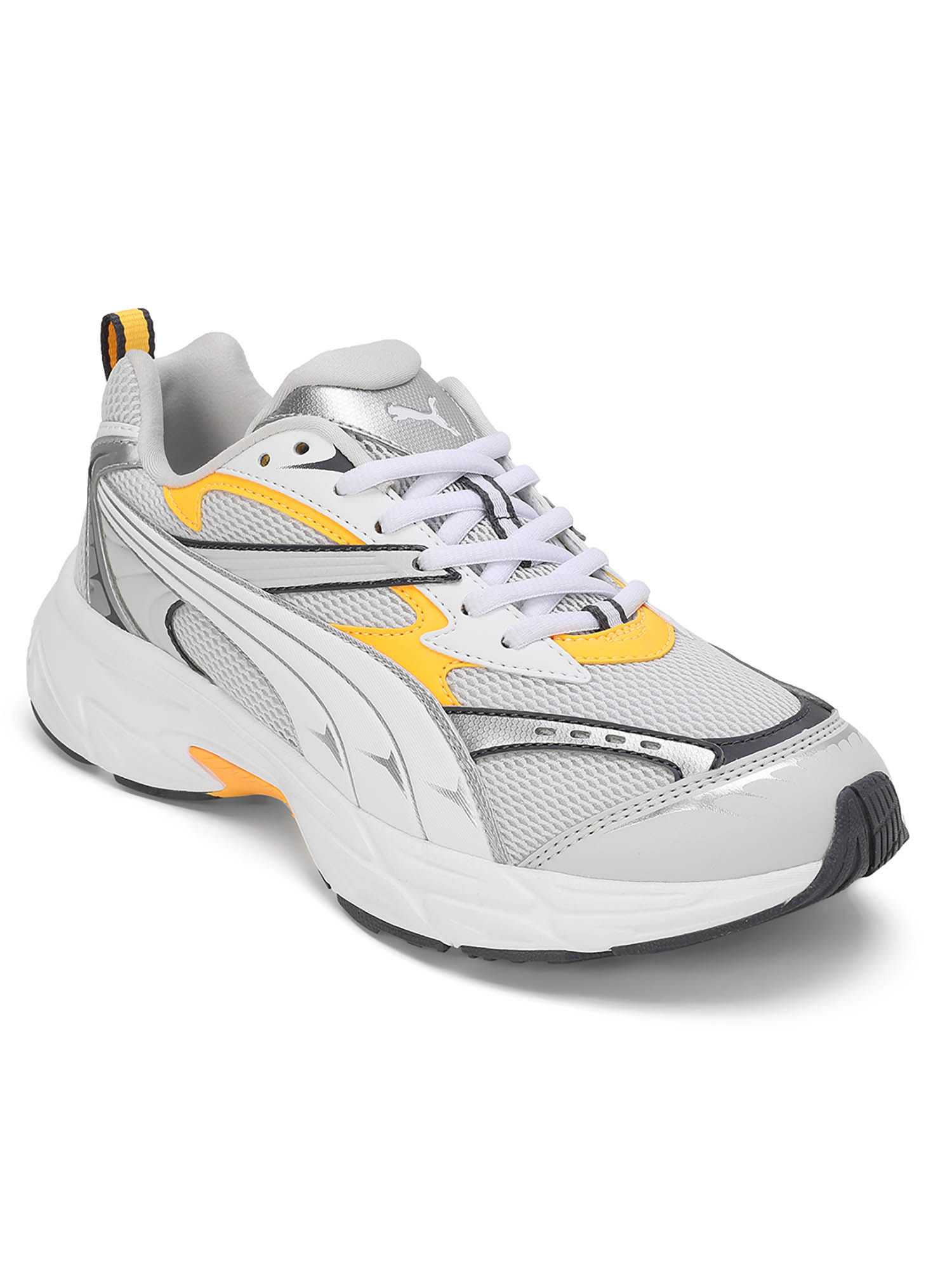 標本 Peru Morpho teseus juturia 122mm 標本 Peru Morpho teseus