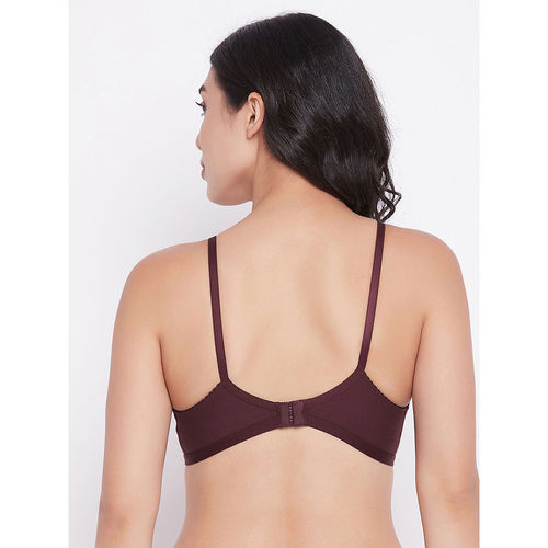 Buy Clovia Pack Of 2 Cotton Non-Padded Non-Wired Full Cup Full-Figure Bra -  Multi-Color Online