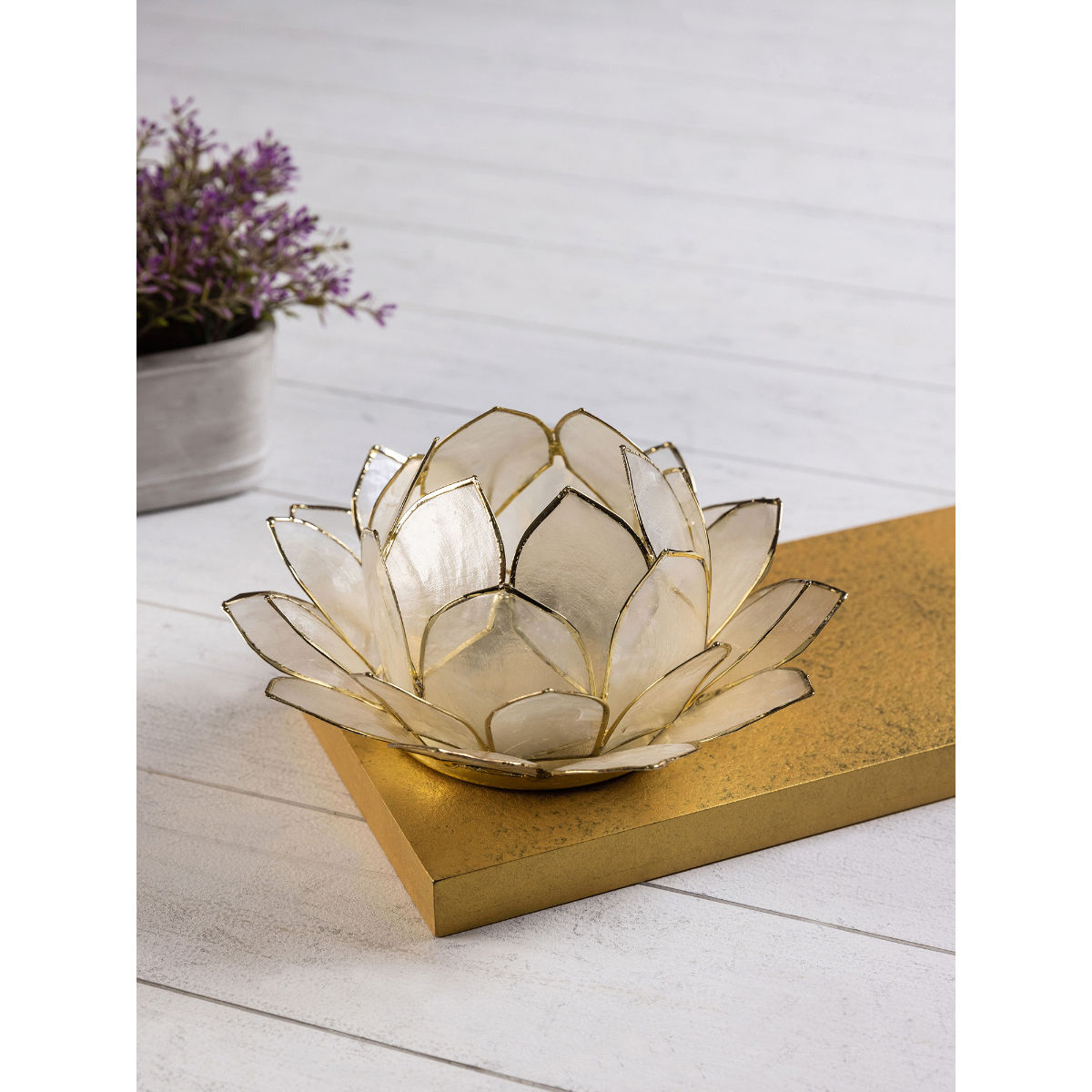 Pure Home + Living 32 Petals Illuminate Beige Lotus Tea Light Holder Buy Pure Home + Living 32
