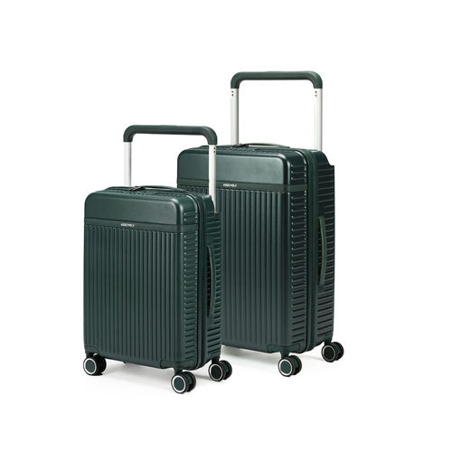 Buy Assembly Hard Luggage Trolley Bags Set Of 2-Cabin-45L, Large